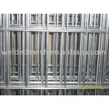 steel wire mesh